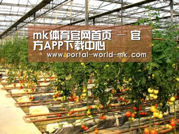 种植基地二(图1)